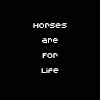 Horses are for life