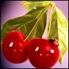 cherry
